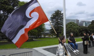 Treaty Principles Bill Protest New Zealand Parliament