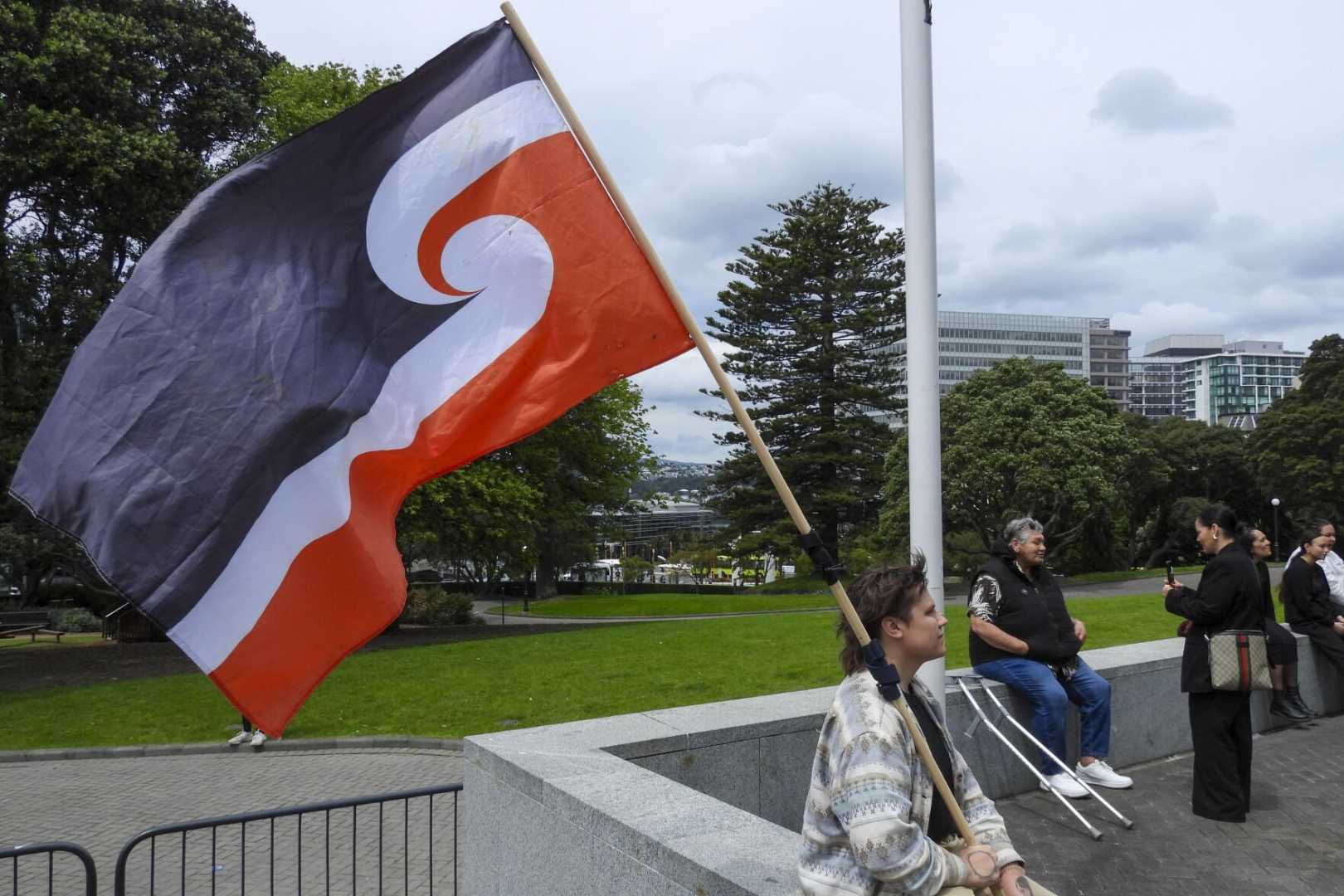 Treaty Principles Bill Protest New Zealand Parliament