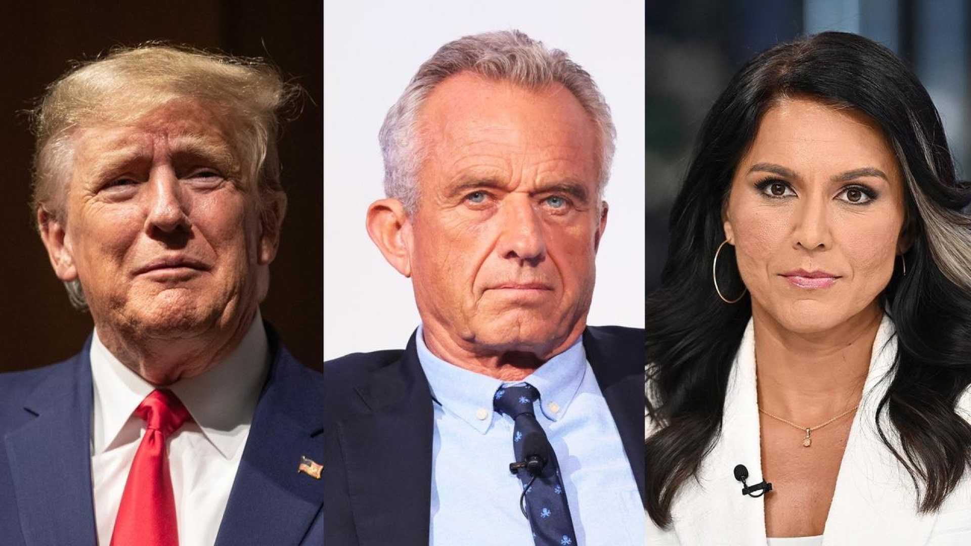 Tulsi Gabbard And Donald Trump Transition Team