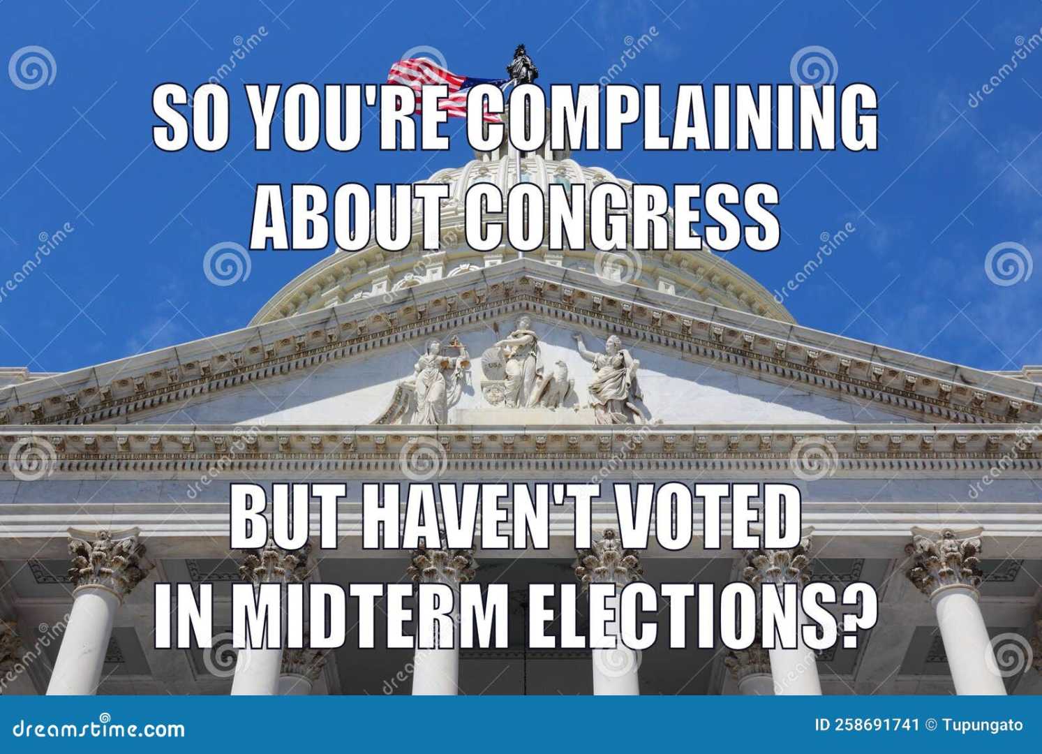 Vote Meme Midterm Elections 2024