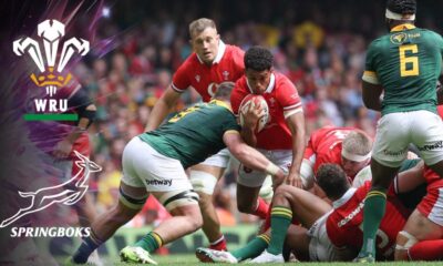 Wales Vs South Africa Rugby Match Principality Stadium