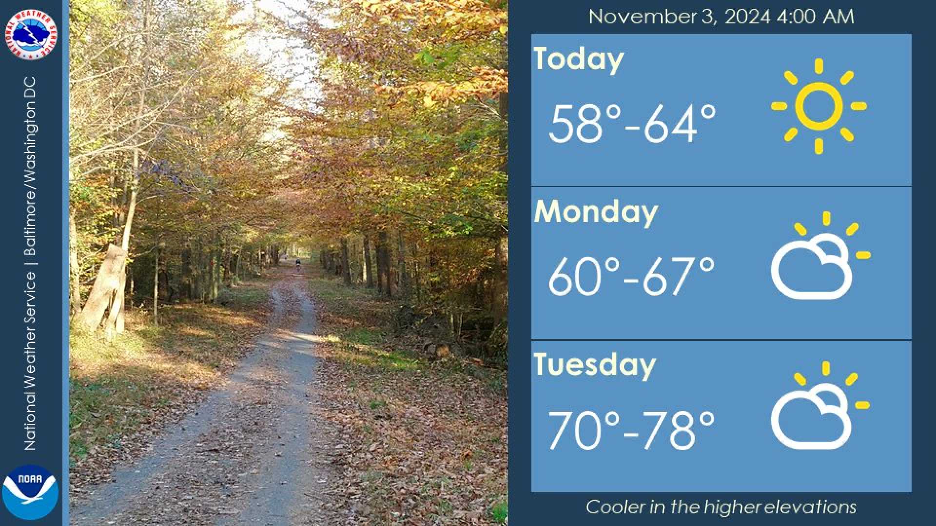 Washington Dc Weather Sunny Skies November 2024