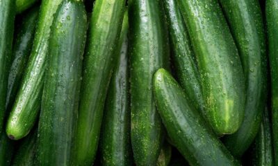 Wegmans Cucumber Recall Salmonella