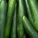 Wegmans Cucumber Recall Salmonella