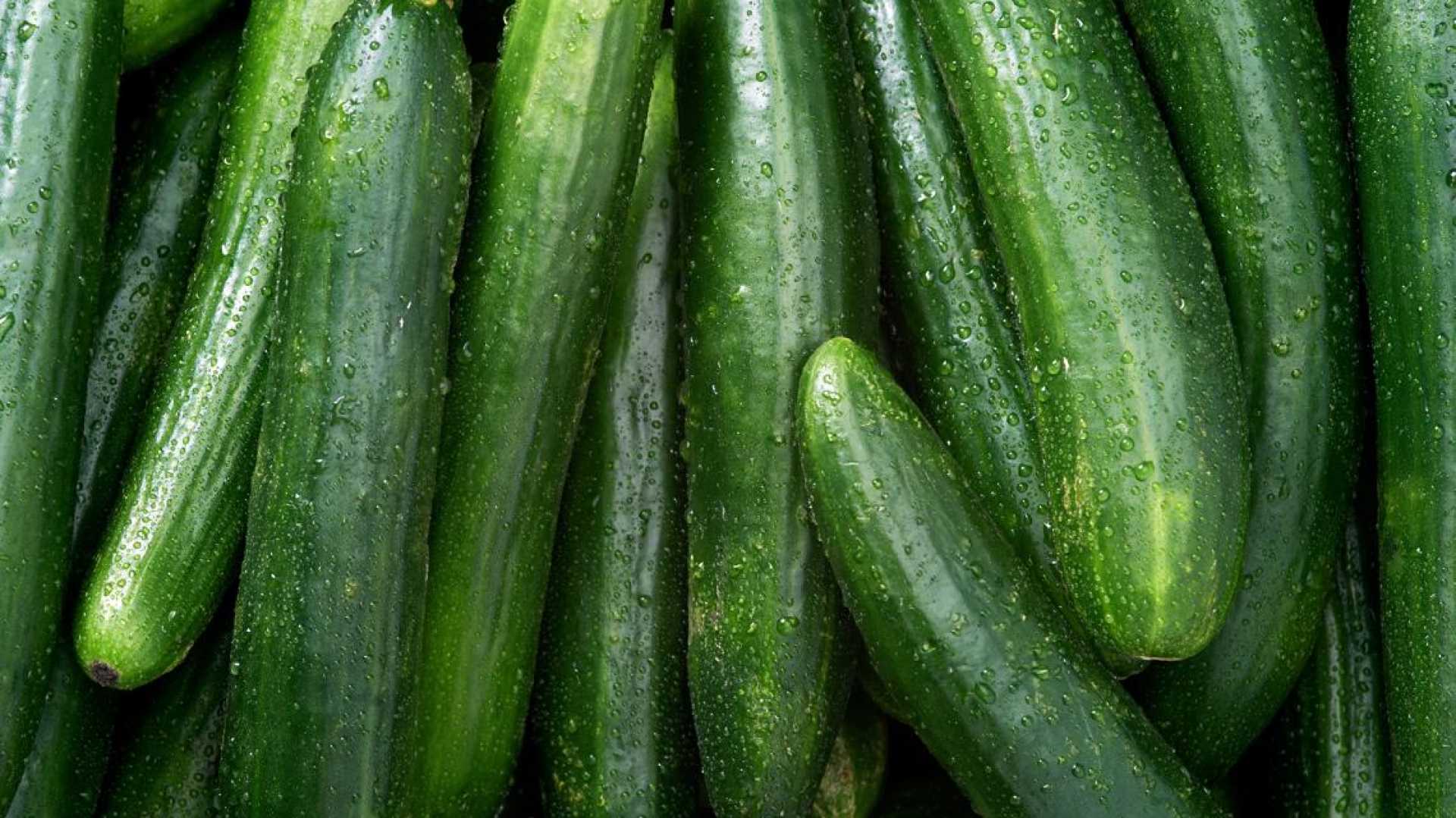 Wegmans Cucumber Recall Salmonella