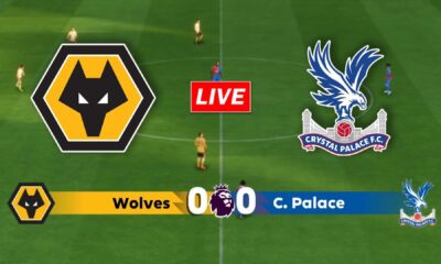 Wolverhampton Wanderers Vs Crystal Palace Premier League Match