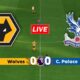 Wolverhampton Wanderers Vs Crystal Palace Premier League Match