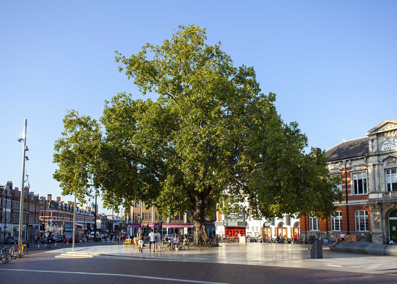 Brixton Wood Urban Forest London