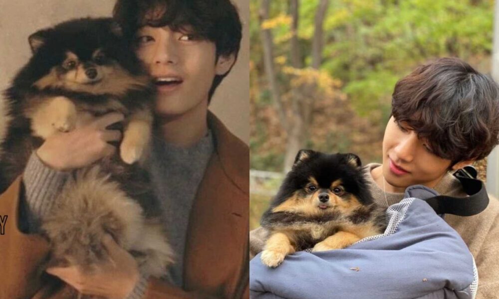 BTS Member V Mourns the Passing of His Beloved Dog Yeontan