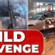 Car Crash Through Dealership Front Door Sandy Utah