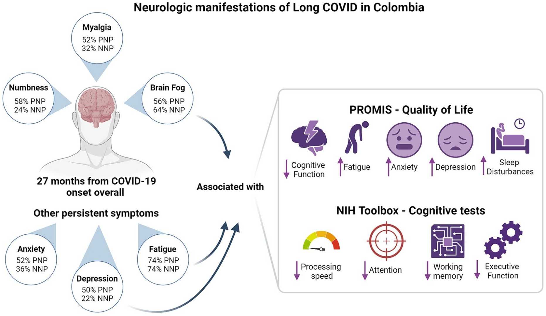 Covid 19 Symptoms 2024