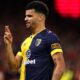 Dominic Solanke Bournemouth Vs Nottingham Forest