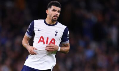 Dominic Solanke Tottenham Fulham Match