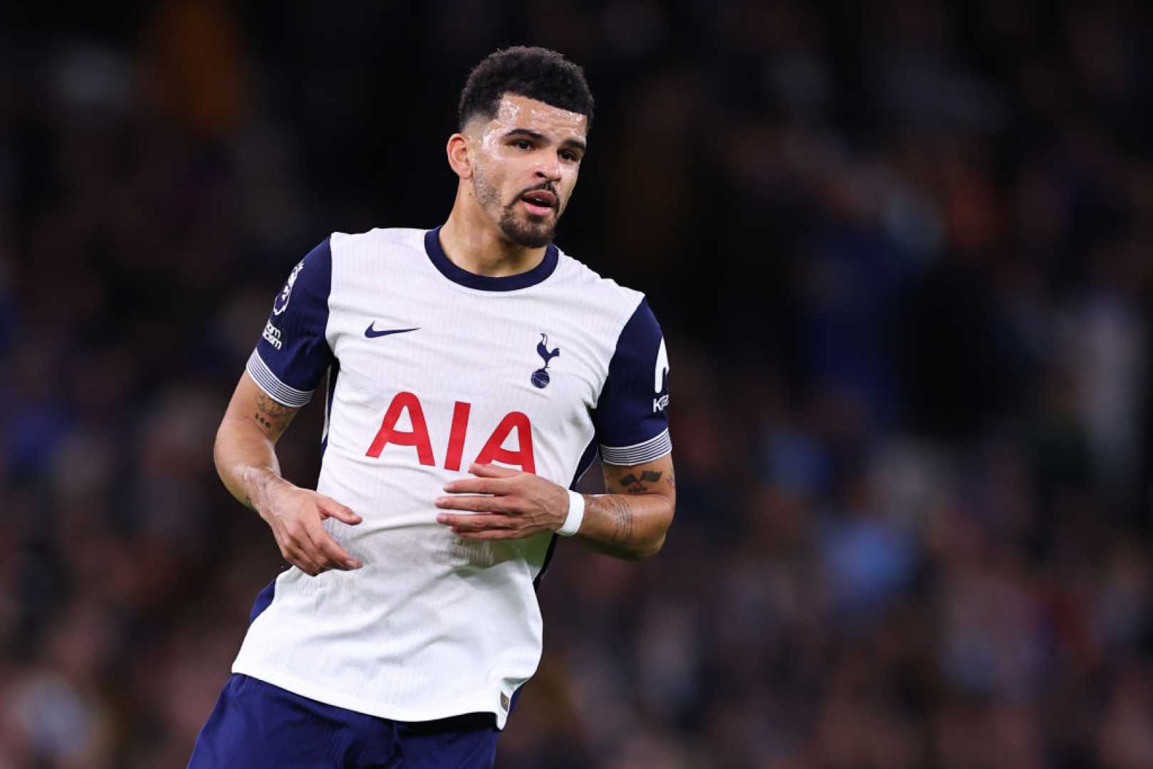 Dominic Solanke Tottenham Fulham Match