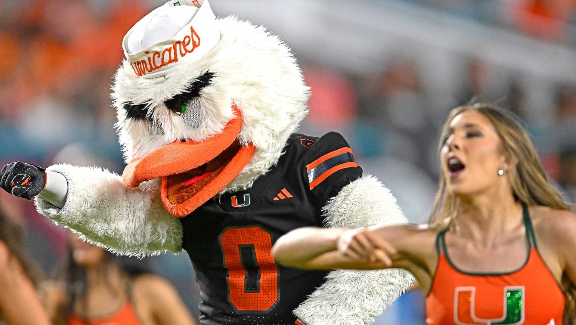 Miami Hurricanes Mascot Sebastian The Ibis And Ashley Wenskoski