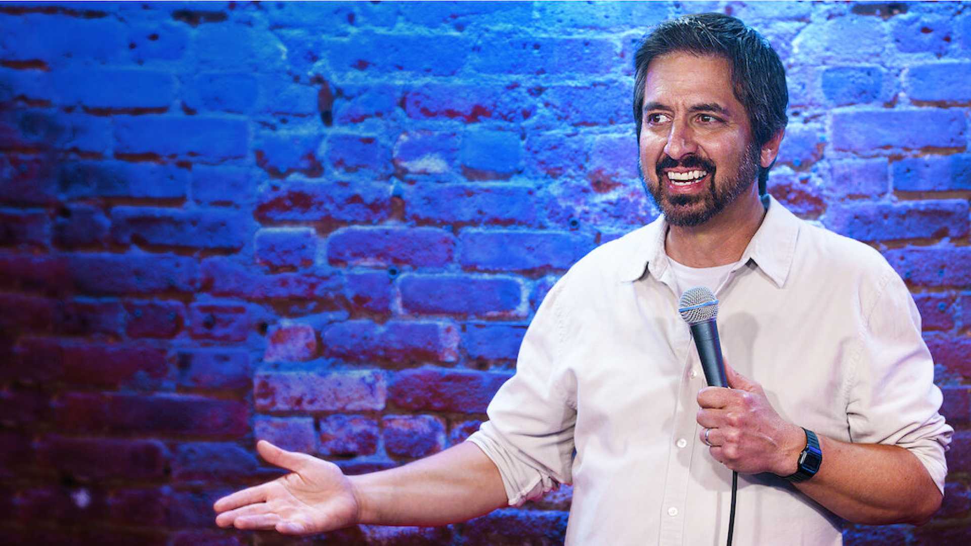 Ray Romano Standup Comedy