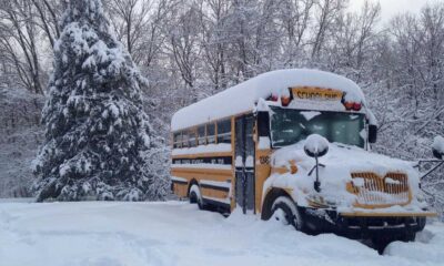 School Buses Cancelled In Ontario Due To Snow Squall