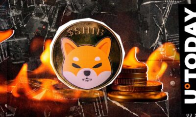 Shiba Inu Coin Burn Rate Surge