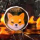 Shiba Inu Coin Burn Rate Surge