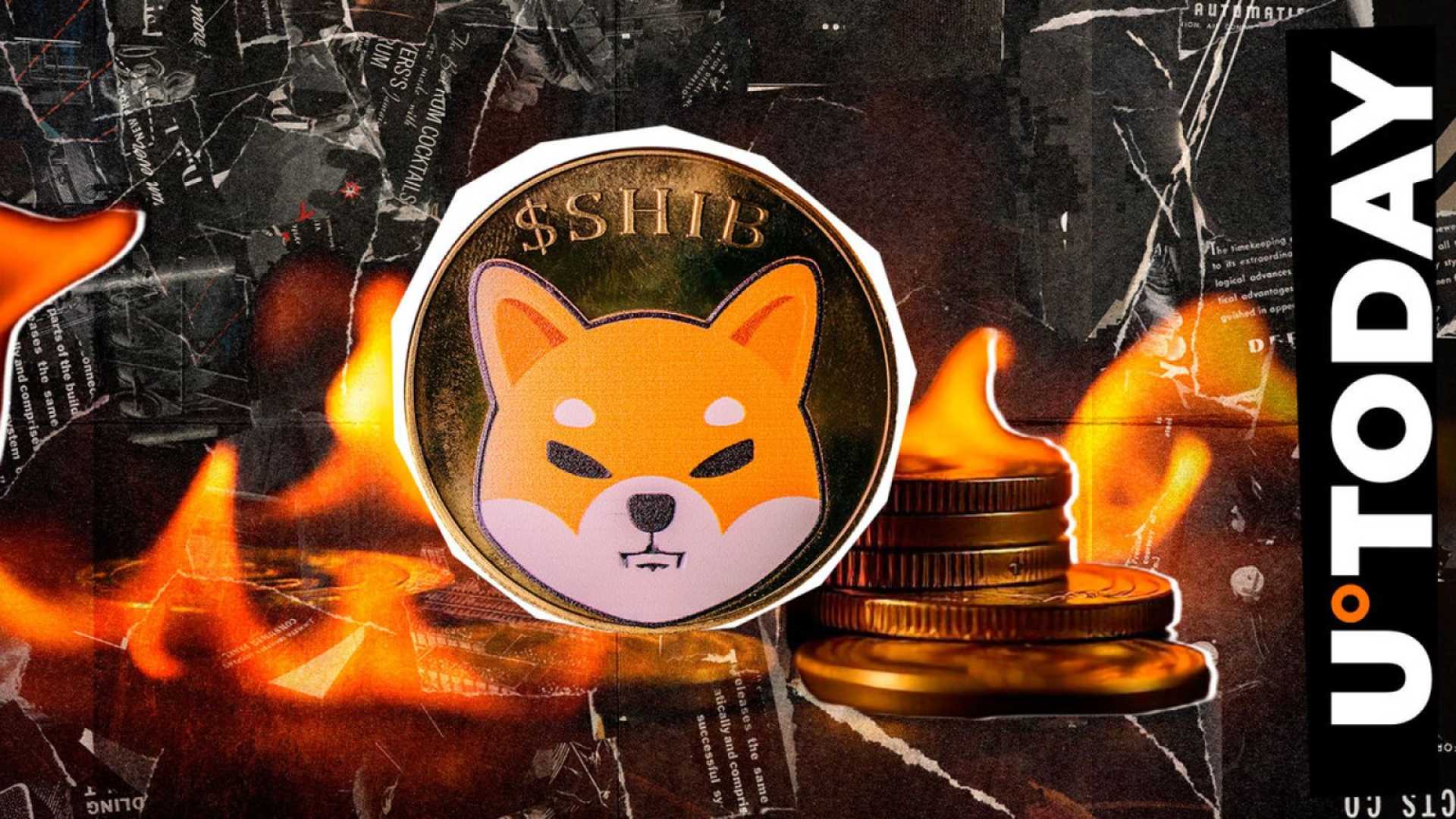 Shiba Inu Coin Burn Rate Surge