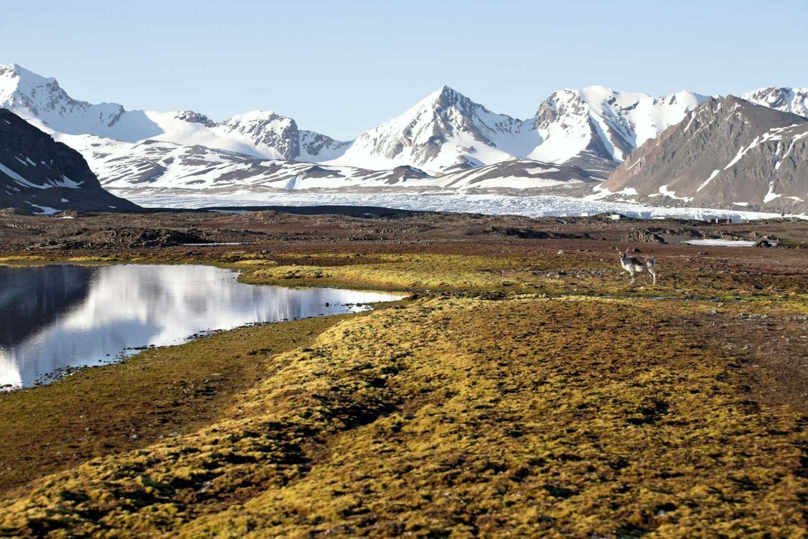 Svalbard Arctic Archipelago Norway