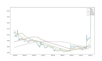 Xyo Coin Price Chart December 2024