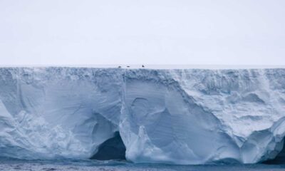 A23a Iceberg Near South Georgia Island