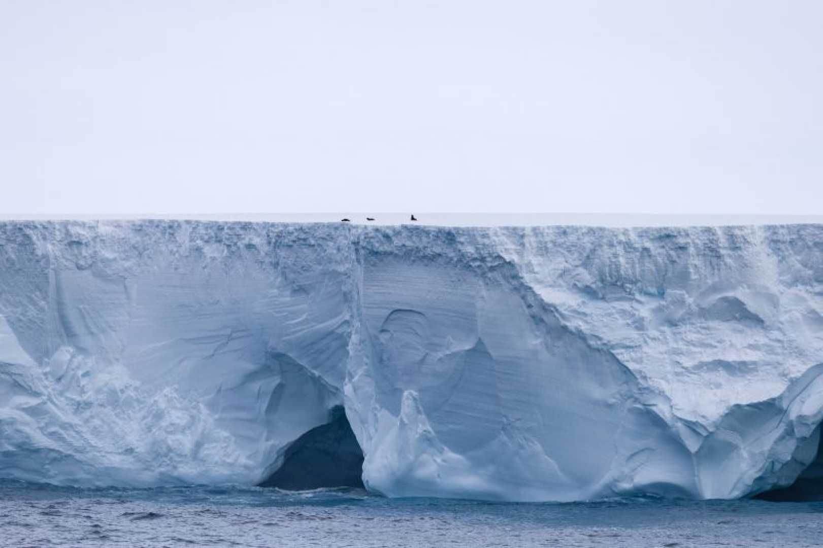 A23a Iceberg Near South Georgia Island