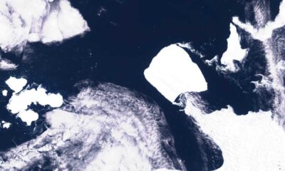 A23a Iceberg Near South Georgia Satellite Image