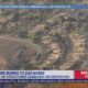 Aerial View Palisades Fire Damage Los Angeles