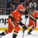 Anaheim Ducks Vs Calgary Flames Hockey Game