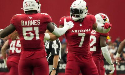 Arizona Cardinals 2024 Defensive Players