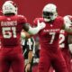 Arizona Cardinals 2024 Defensive Players