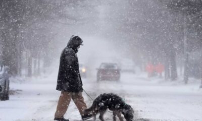 Arizona Winter Storm Snow Rain Wind