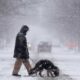 Arizona Winter Storm Snow Rain Wind