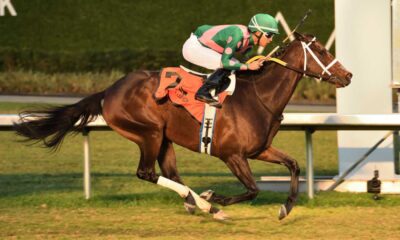 Be Your Best Horse Gulfstream Park Race