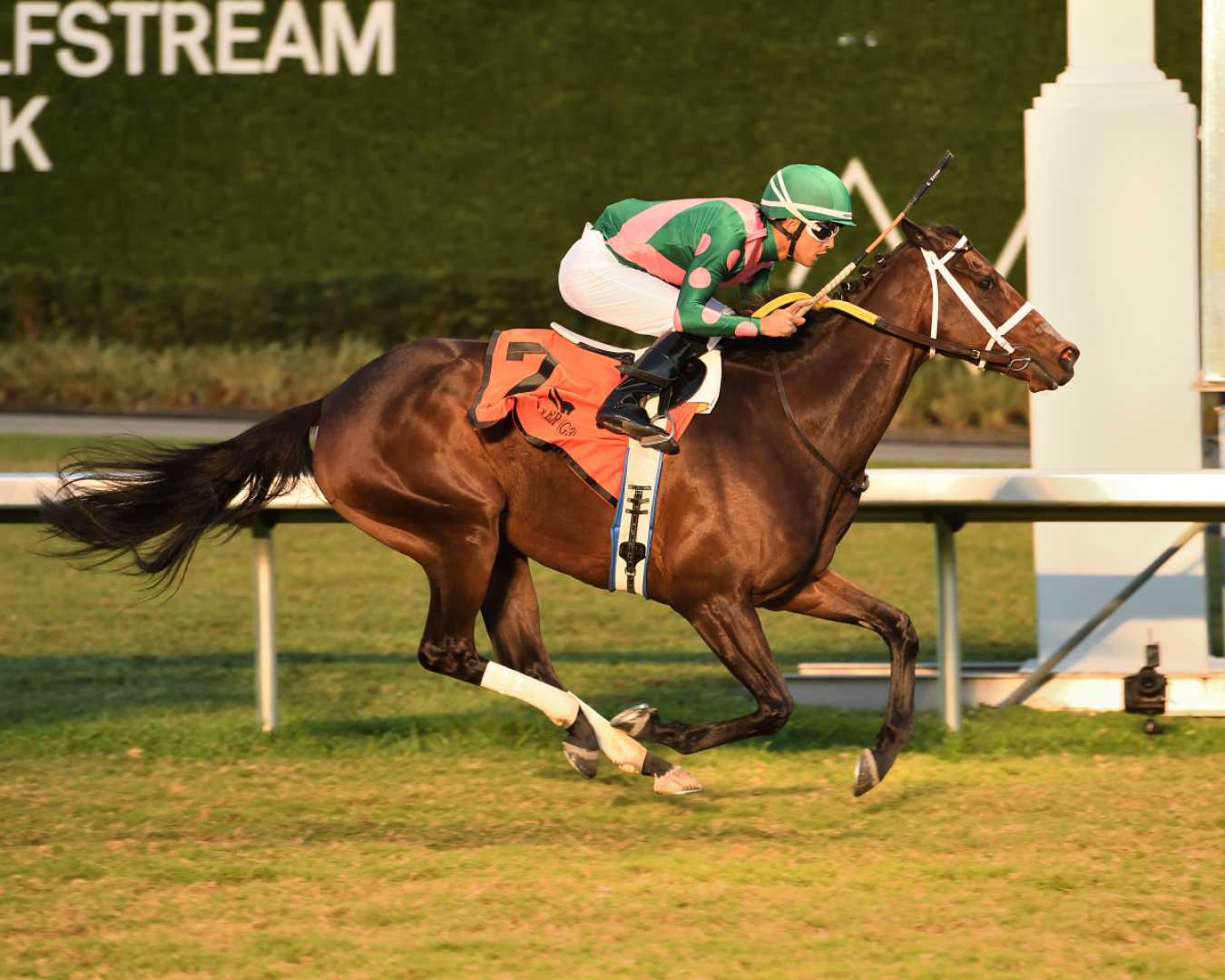 Be Your Best Horse Gulfstream Park Race