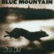 Blue Mountain Band Jimmy Carter Song 1995