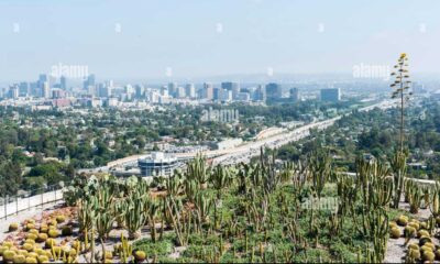 Brentwood California Downtown View