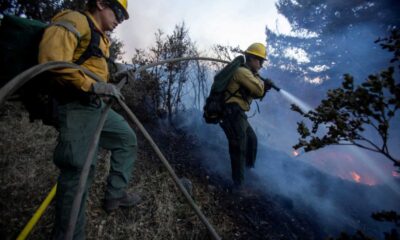 Brush Fire Altadena California 2025 Firefighters