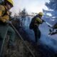 Brush Fire Altadena California 2025 Firefighters