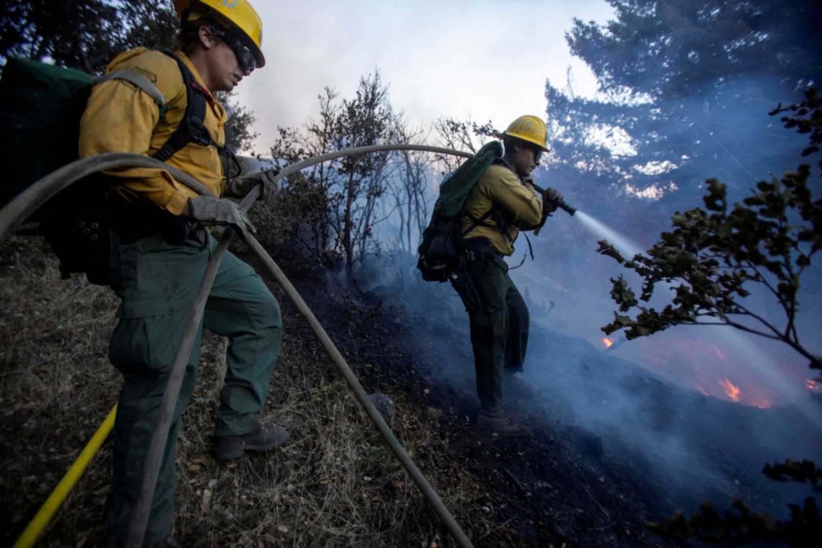 Brush Fire Altadena California 2025 Firefighters