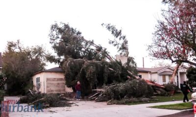 Burbank Hurricane Wind Damage 2025