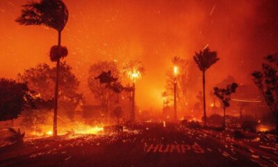 California Wildfires 2025 Destruction