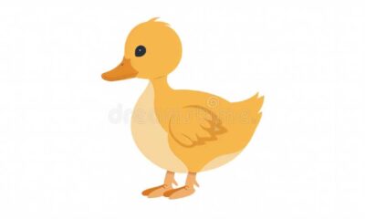 Cartoon Yellow Duck With Brown Feathers