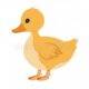 Cartoon Yellow Duck With Brown Feathers