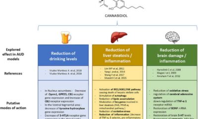 Cbd Alcohol Craving Clinical Trial Brain Scan