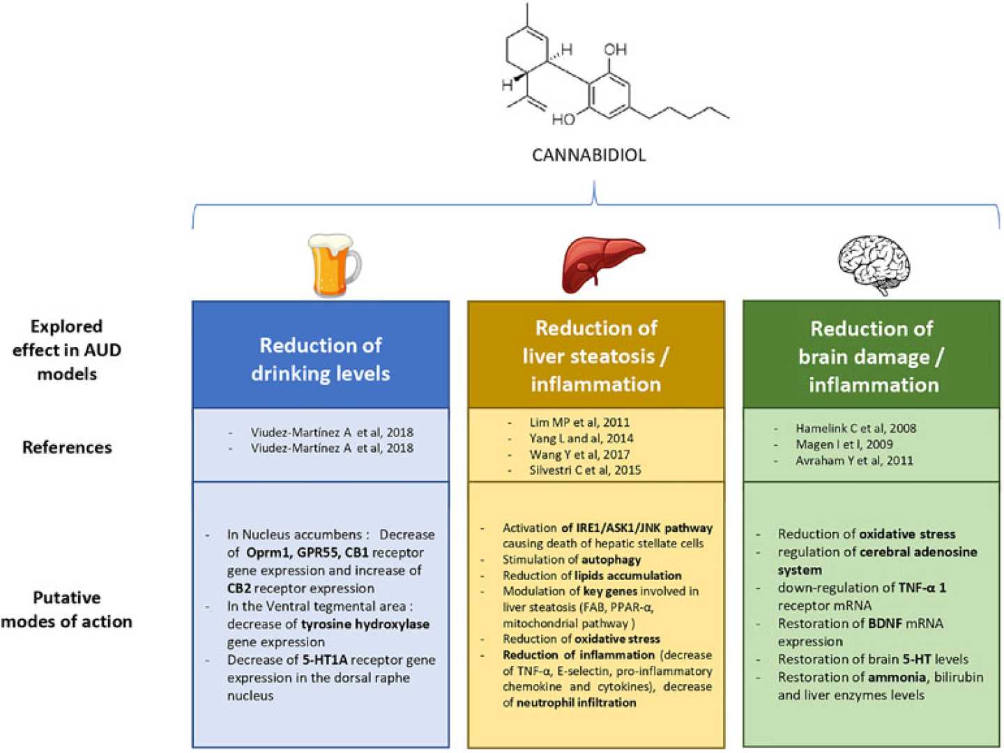 Cbd Alcohol Craving Clinical Trial Brain Scan