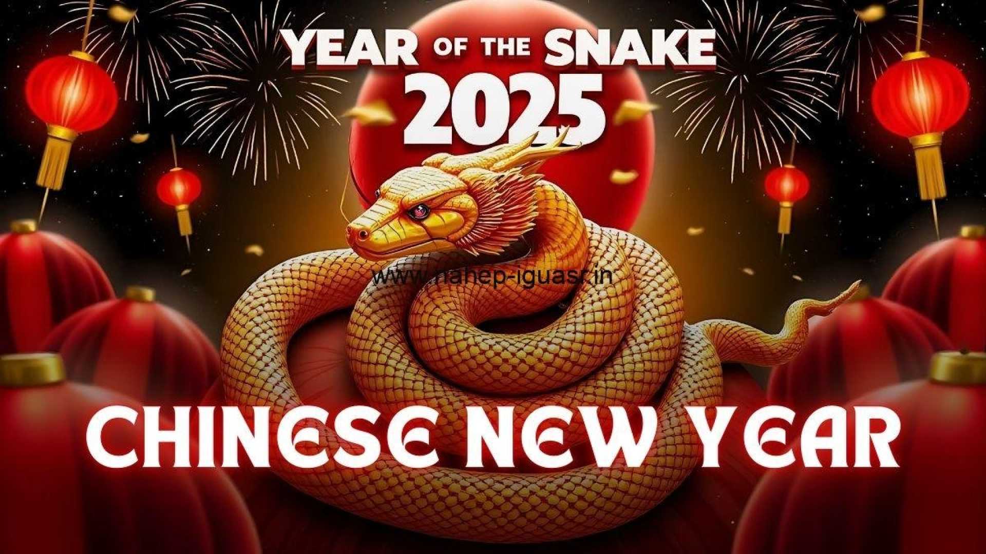 Chinese New Year 2025 Snake Celebrations Worldwide