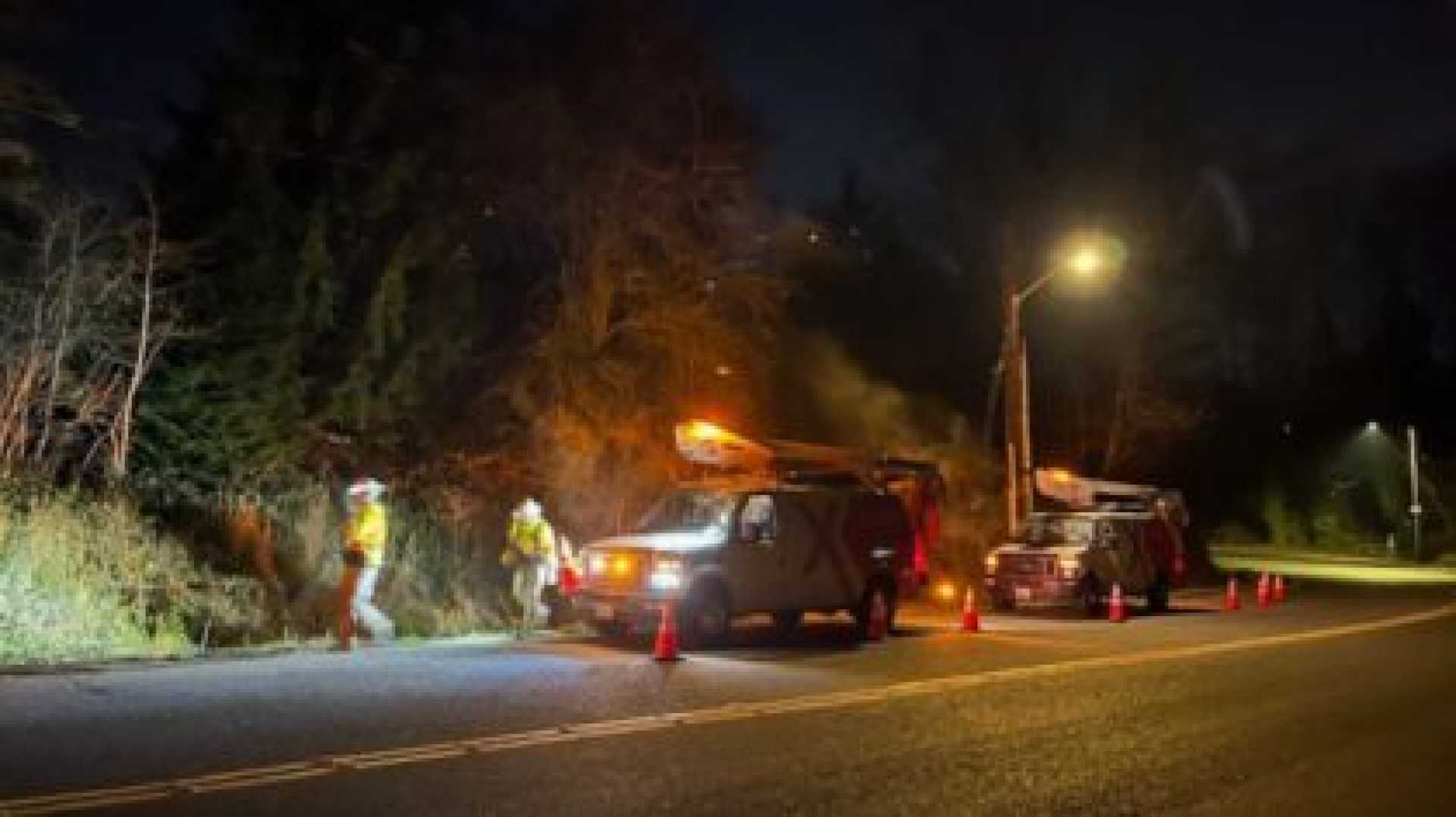 Comcast Cable Line Damage East Marginal Way Tukwila